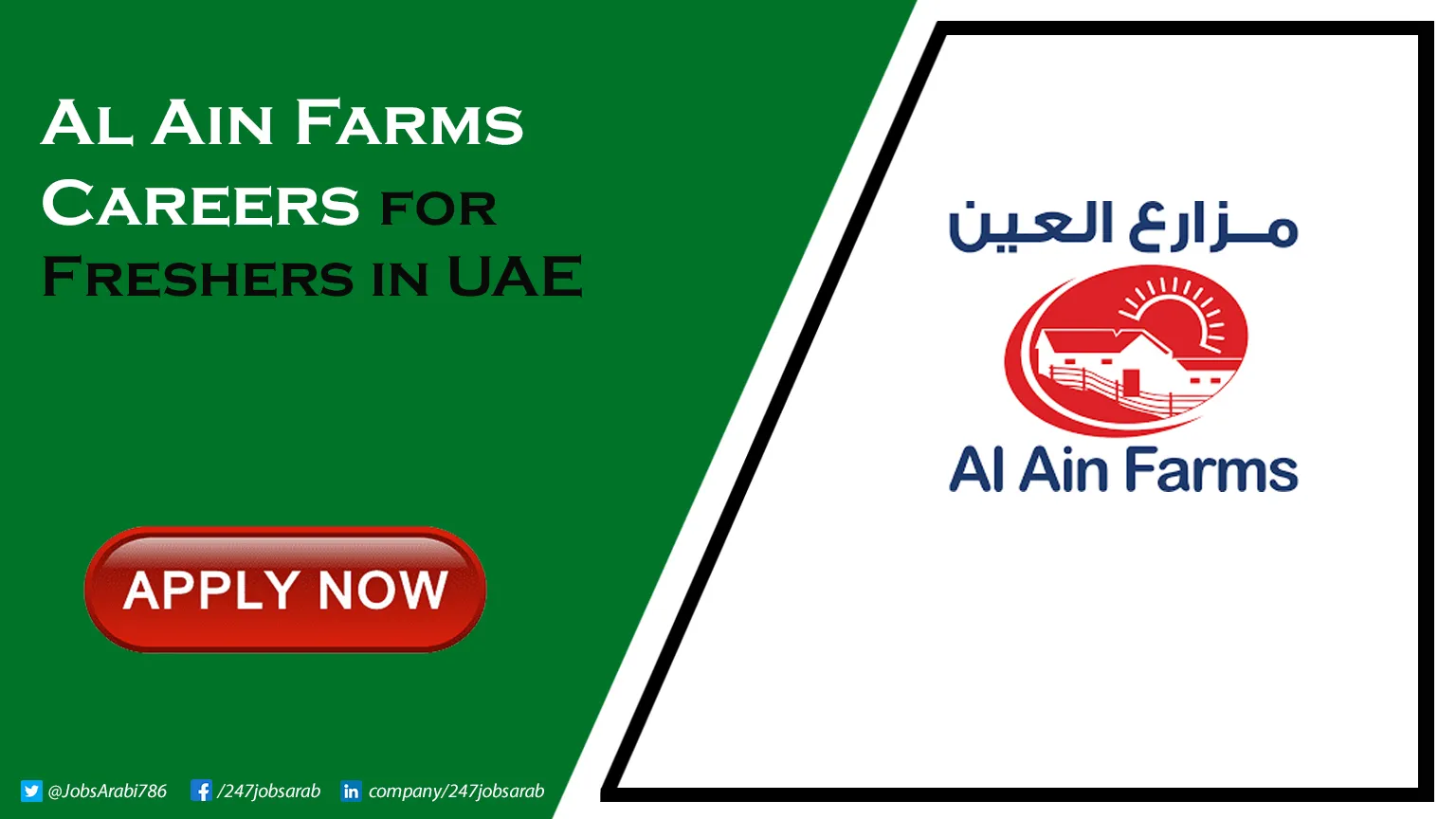 Al Ain Farms Careers for Freshers | Latest Jobs Vacancies in AL Ain & Across UAE Al Ain Farms Careers