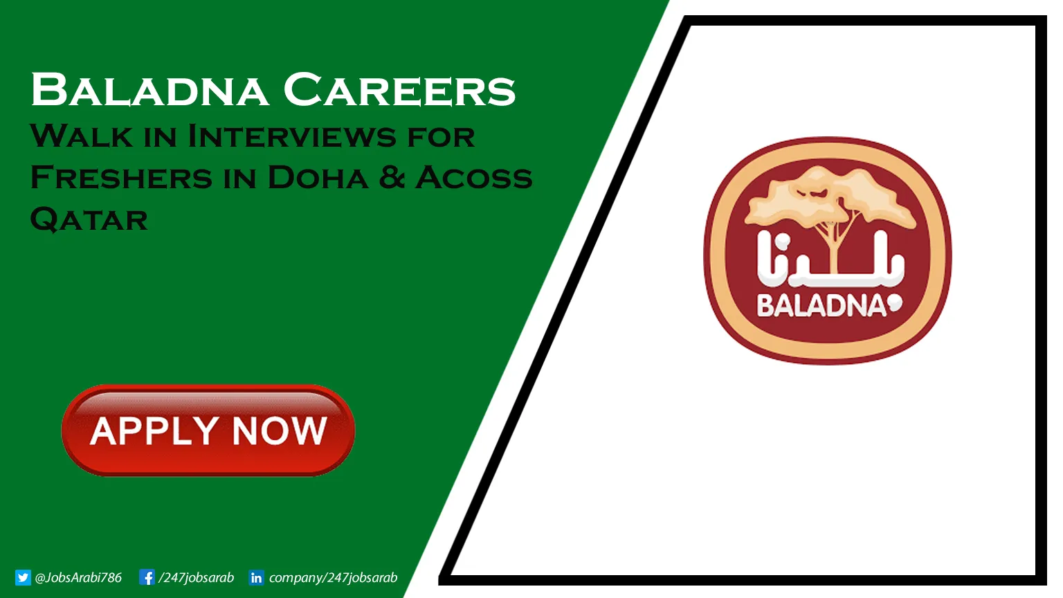 Baladna Careers