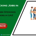 Food Packing Jobs in Dubai Free Visa for Freshers Food Packing Jobs in Dubai
