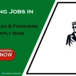 Modeling Jobs in Dubai